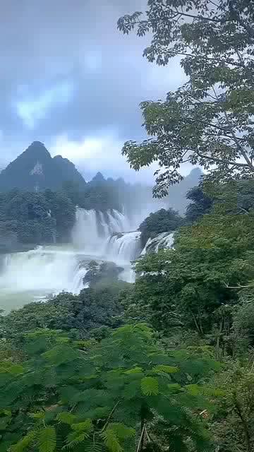 平民玩家阿贝多值得抽吗